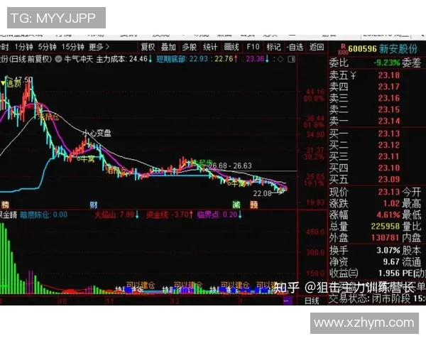 掌握看盘技巧与足球比赛直播的完美结合方法解析