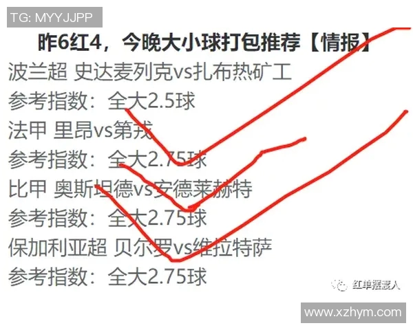 斯特拉斯堡对尼斯精彩直播全程回顾与赛后分析