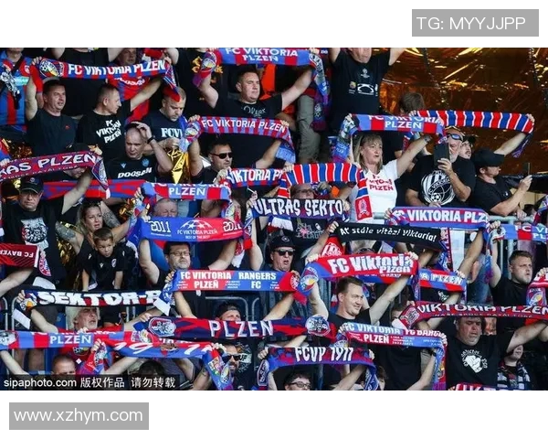 荷乙直播精彩纷呈球迷不容错过的赛事盛宴与分析解读